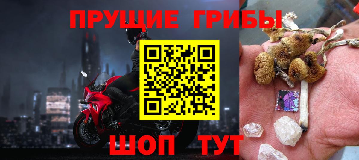 Псилоцибиновые грибы Cubensis  Вход с VPN  Можга 