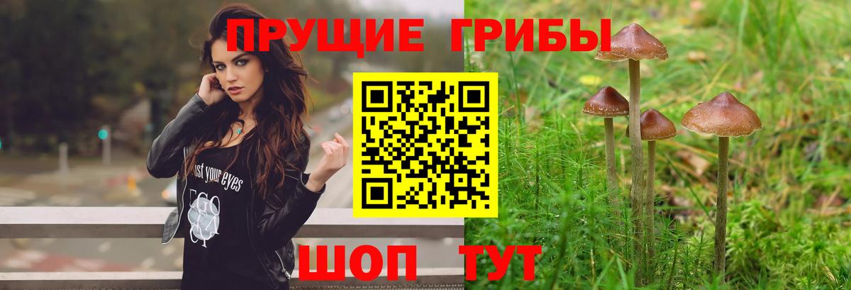 Галлюциногенные грибы прущие грибы Можга